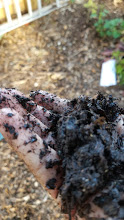 just right compost